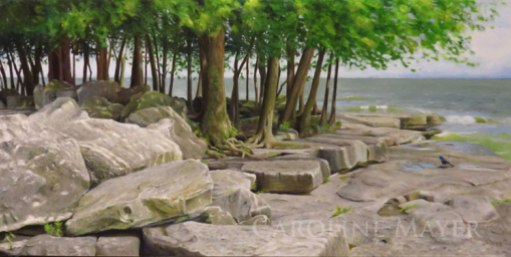 Trees Grow from the Rocks, Marblehead, Ohio